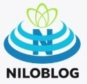 امنیت پایدار در سایت و وبلاگ